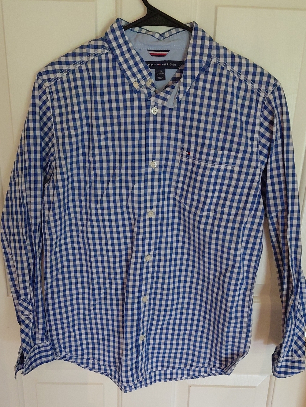 Tommy Hilfiger Blue and White Gingham Button-Down Shirt